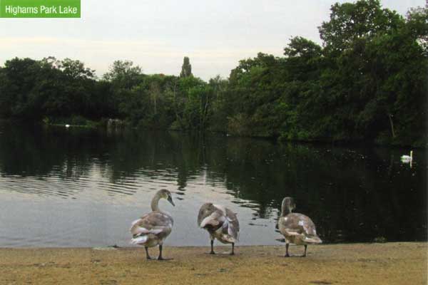 Highams Park