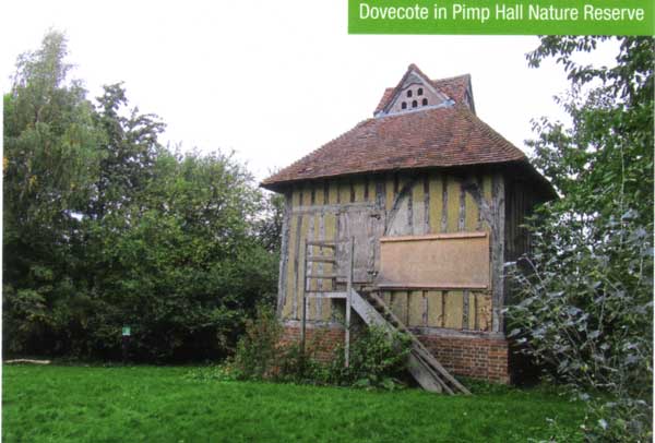 Pimp Hall Dovecote