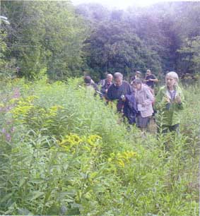 Investigating bumblebees at a field meeting led by naturalist Fiona Barclay
