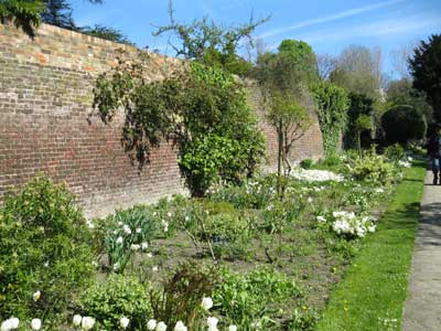 The White Garden before restoration