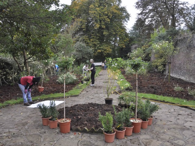 Community Planting Day