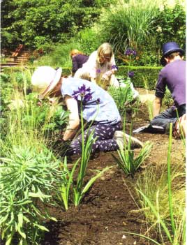 Community volunteers planting up the sundial beds in the Old English Garden