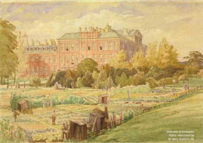 Allotments at Kensington Palace
Watercolour by Sir Henry Rushbury RA (&copy; IWM)