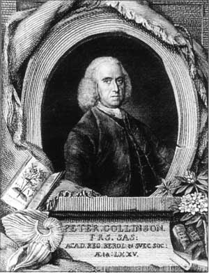 Peter Collinson