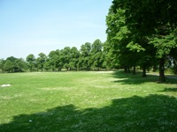 Markfield Park (Photo: LB Haringey)