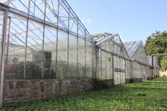 The old nursery in Hyde Park