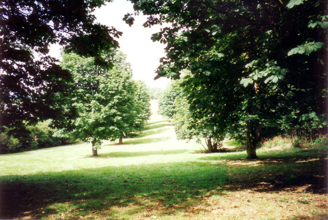 Photo of Sunny Hill Park