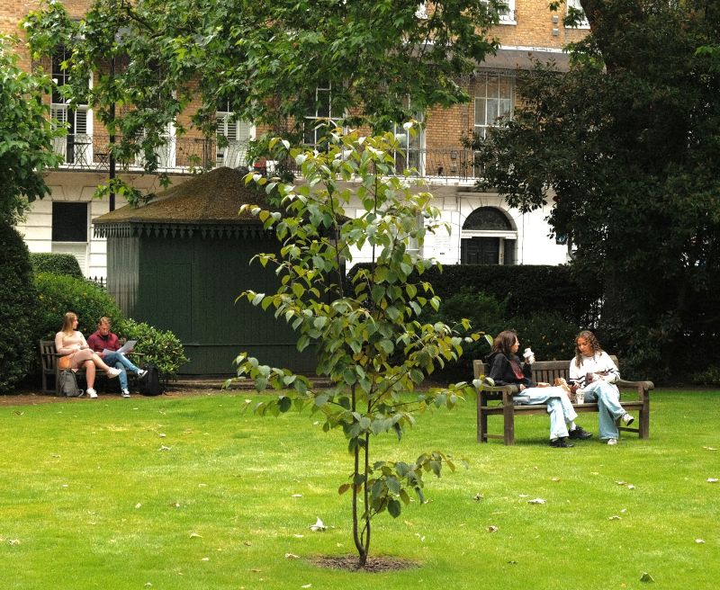 Dorset Square