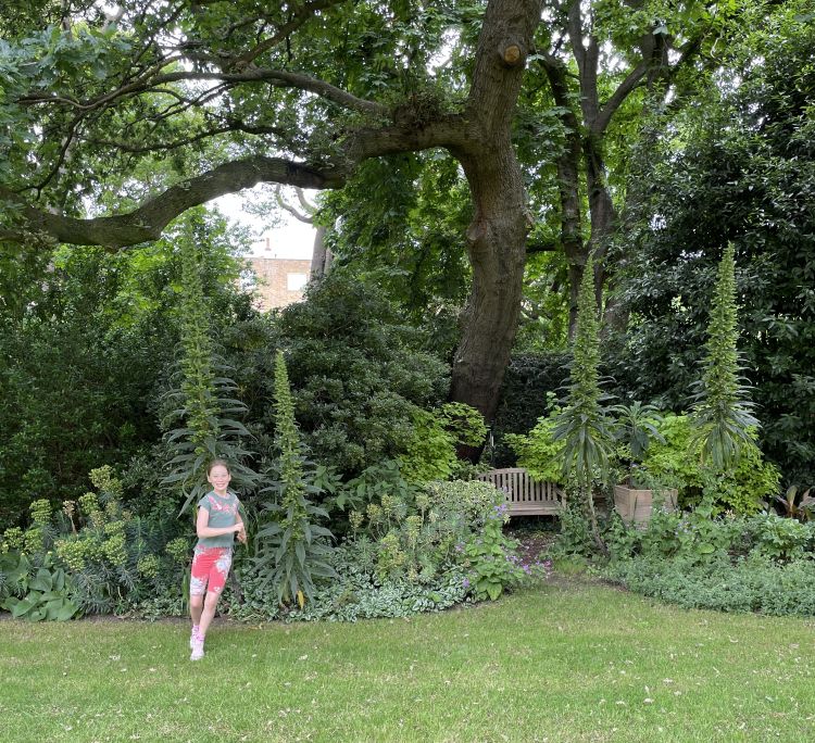 Edwardes Square