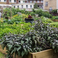 Approach Gardens