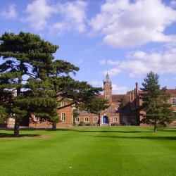 Sutton