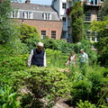 Community Garden at Tate Modern