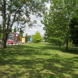 Kingston