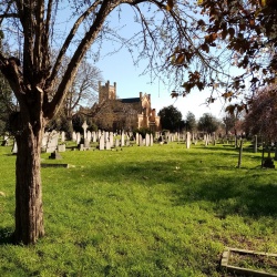 Merton