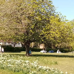 Croydon