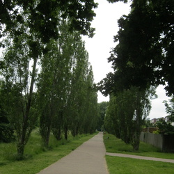 Enfield