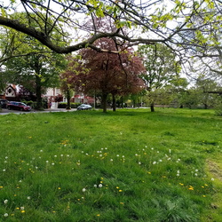 Redbridge